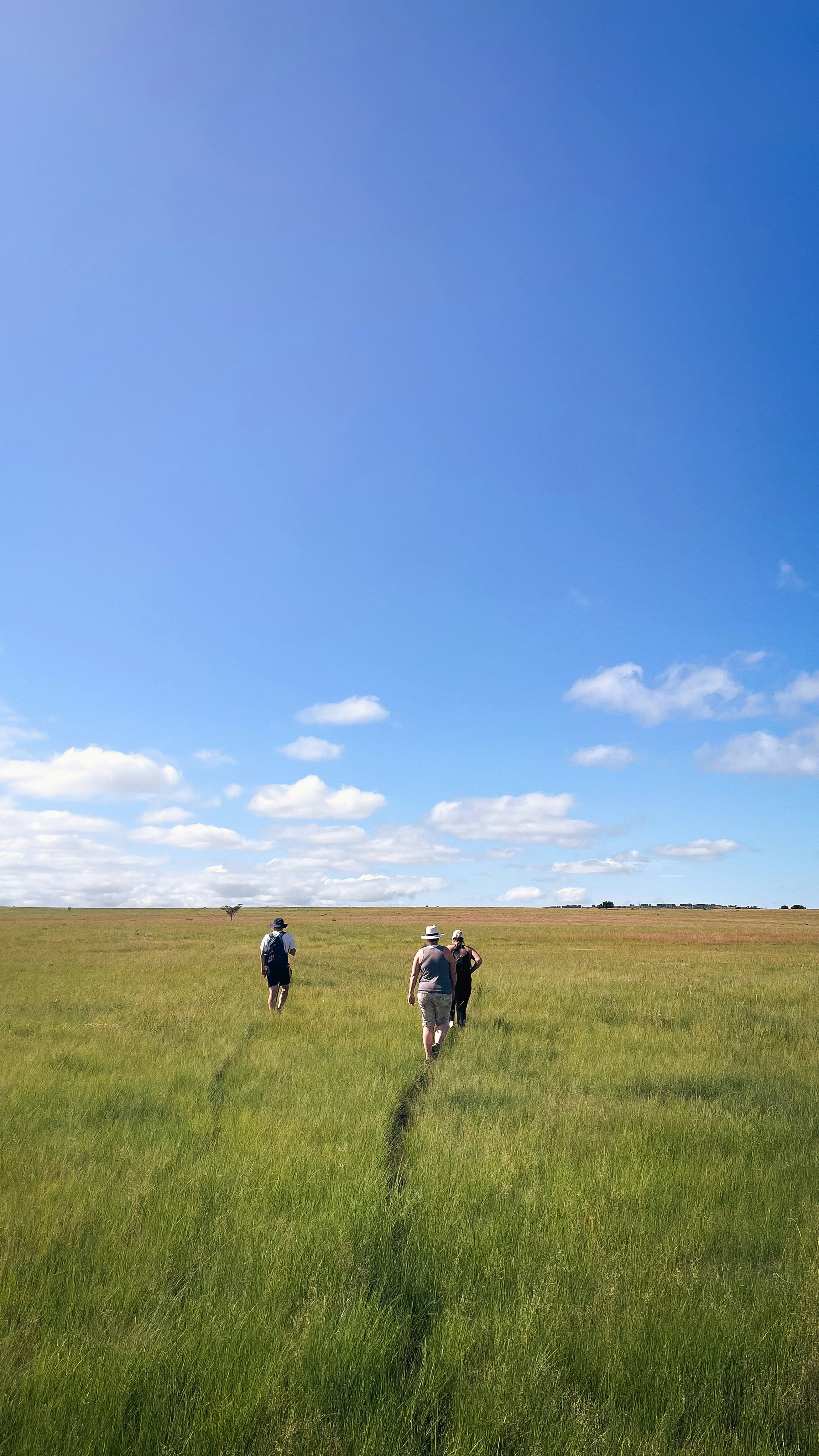 People exploring the horizon